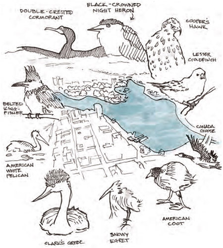 zine_oakland-interpreter_-3cr