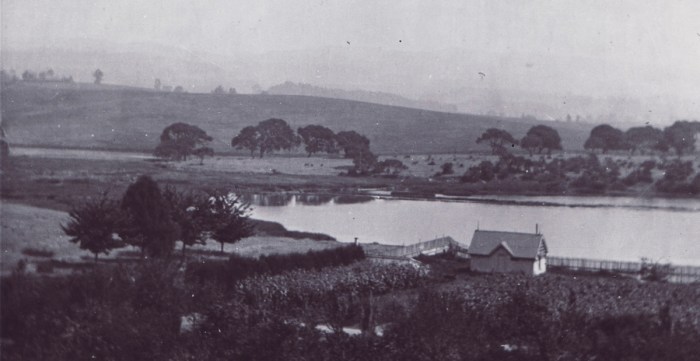 1800s-lake-merritt-left-ear