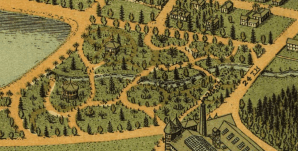 soderberg-detail_adams-park